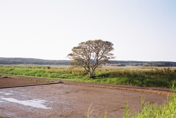 1755430