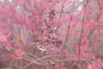 E4527296-7B21-41C9-AD1B-DD1919B0D1AE/L0/001