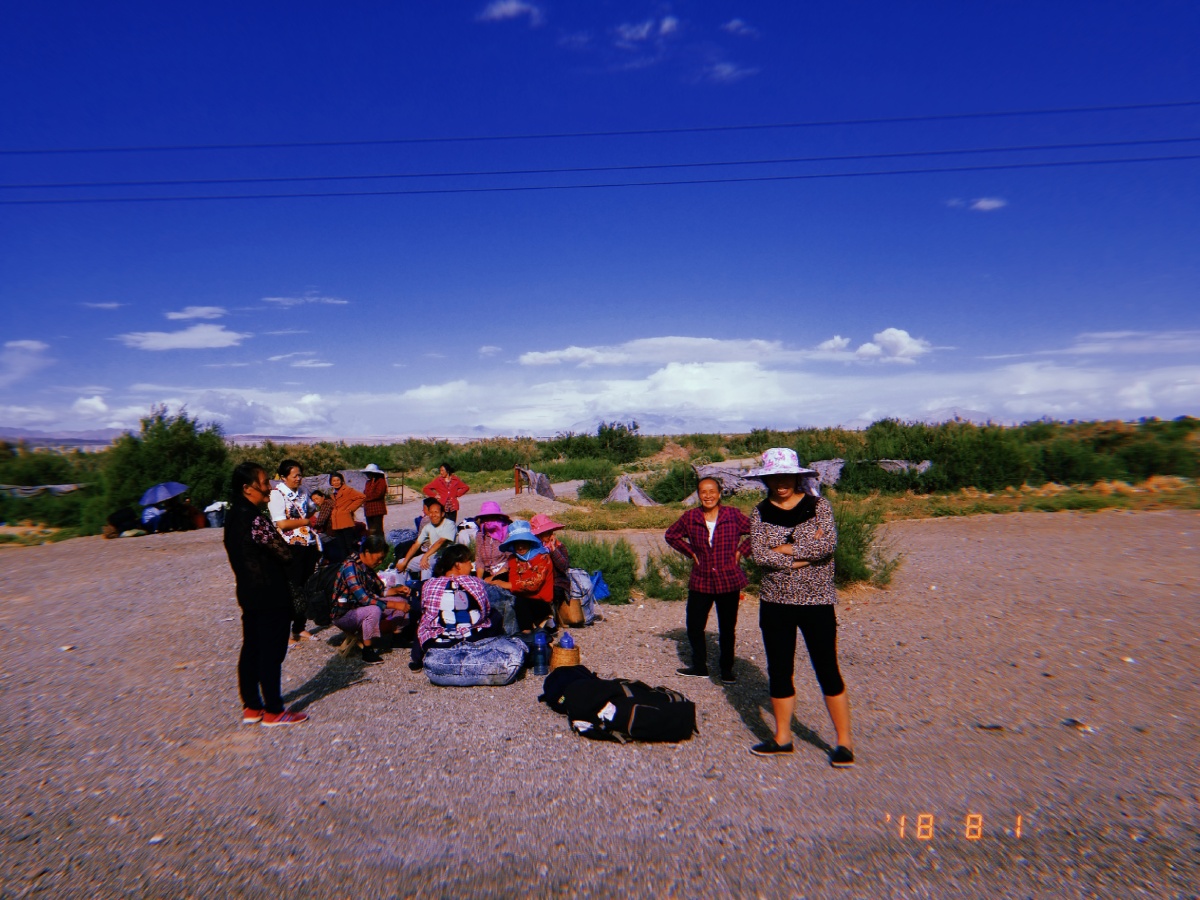 摄于2018_8_1青海 马海农场小脸拍大片关注