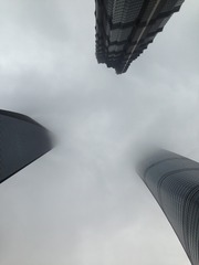 1005586