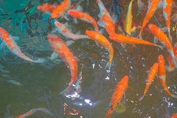 2D3A0CA2-45D3-41B1-95FE-B2872EF8EF45/L0/001