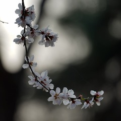 17040
