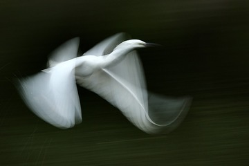 9473F786-DE27-4CEE-9DF5-E6C6B1B09DB8/L0/001