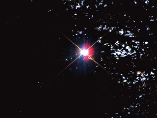 147006