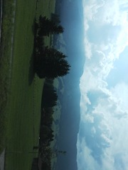 IMG_20160726_102822