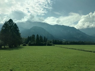 IMG_20160726_103729