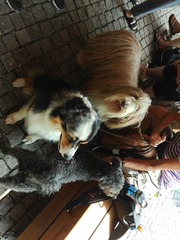 IMG_20160726_122907