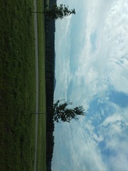 IMG_20160727_092853