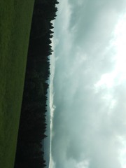 IMG_20160727_094925