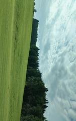 IMG_20160727_103326
