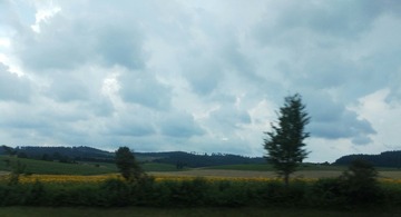 IMG_20160727_131054