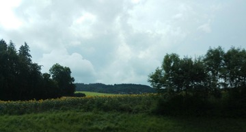 IMG_20160727_131421