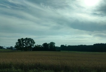 IMG_20160728_091256