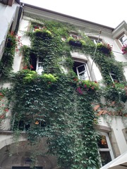 IMG_20160728_120511