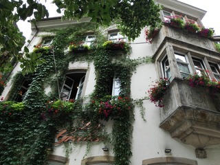 IMG_20160728_120520