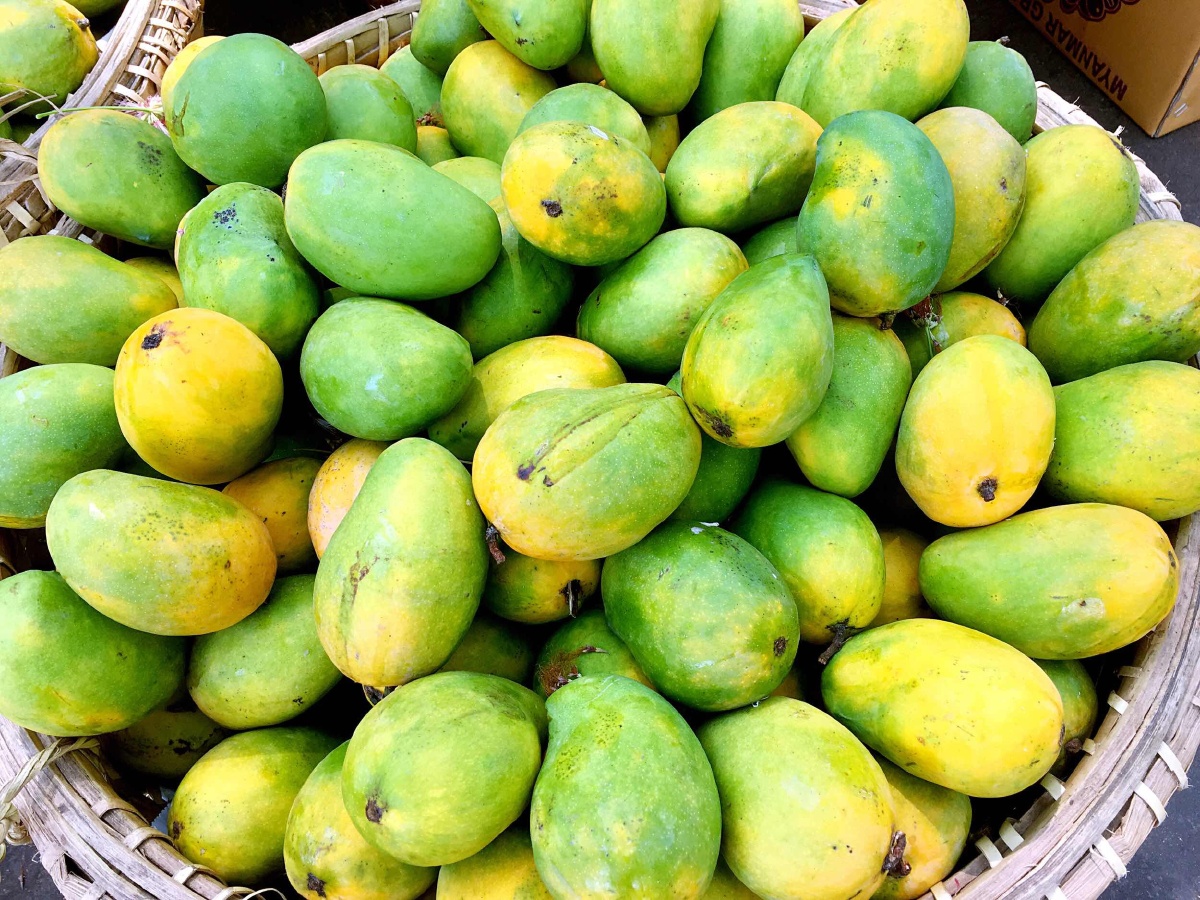 缅甸芒果圣德龙大芒果酸菠萝味道是酸甜酸甜的李子各种水果蜜桔圣徳龙