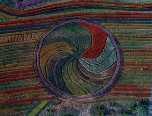DJI_0004