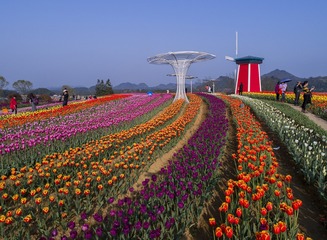 DJI_0011