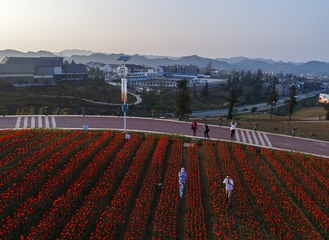 DJI_0115