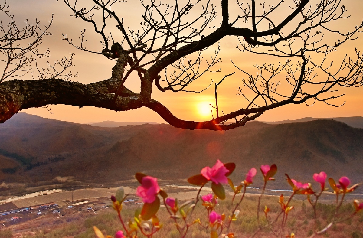 春天来了拍摄于黑龙江省伊春市南岔县仙翁山上