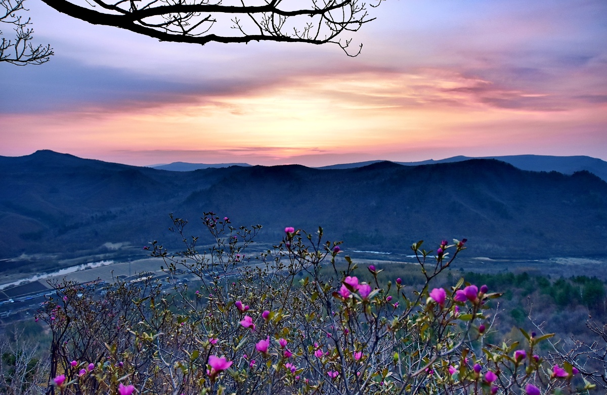 春天来了拍摄于黑龙江省伊春市南岔县仙翁山上