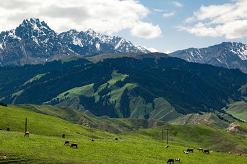 一样的雪山·不一样的风景·7