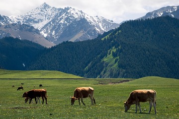 一样的雪山·不一样的风景·12