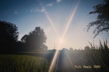8BC7554F-8108-45E9-94F8-822C5DE1D3FB/L0/001