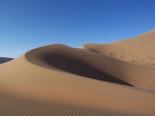 100_9875