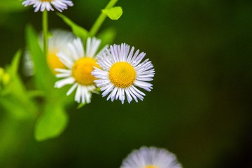83177