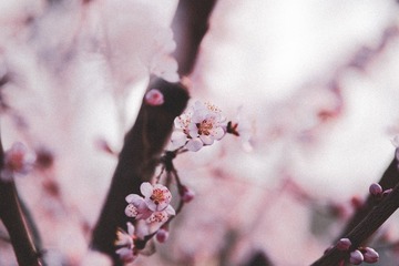 8485BDCD-FA78-41D0-BE17-6E8BB28C3278/L0/001