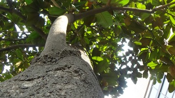DSC00165 (2)