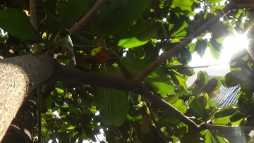 DSC00166 (2)