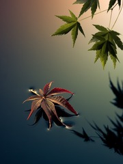 001