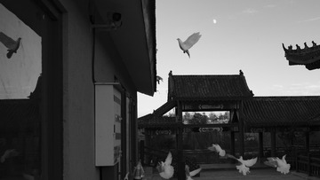 7E790153-A742-48B6-808C-6C9D9BCB13B5/L0/001