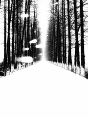 1012259