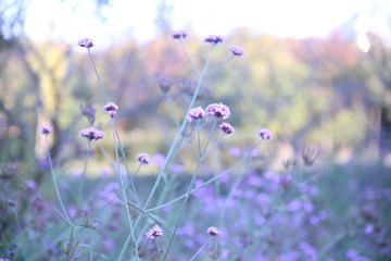 11102F23-3510-4C88-9E84-4E818356E4F2/L0/001