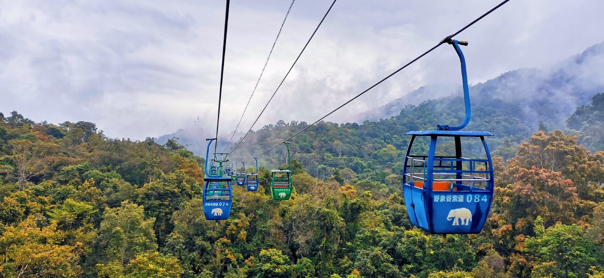 野象谷缆车