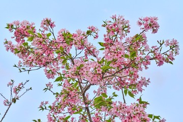 42B96BCF-E34D-4E50-A5E7-4088A7A32D72/L0/001