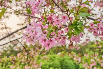 F02FEB81-F8A0-4040-AB59-FD01C5A9B581/L0/001