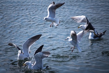 IMG_4654.lr