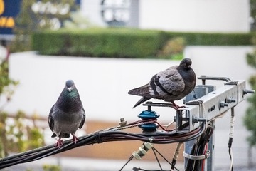 IMG_4858.lr