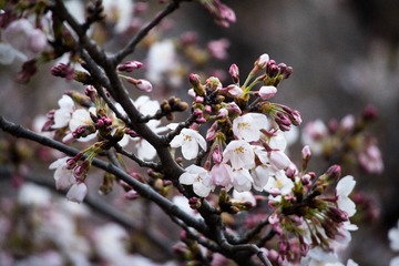 IMG_4837.lr