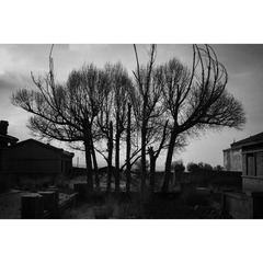DDE707B0-C407-481F-A5E2-ED35BBBB0FD0/L0/001