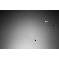 33A3CF53-75F2-4005-A6EF-69740FE722B7/L0/001