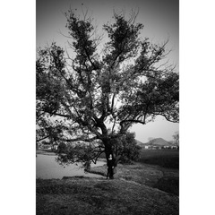 819CA497-BFEB-4944-9AC4-49C34BC44D8F/L0/001
