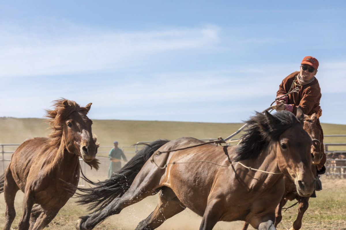 马背上的蒙古人