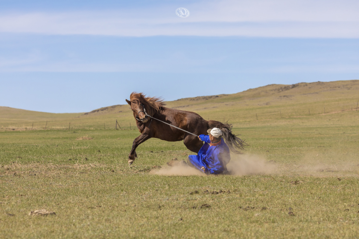 马背上的蒙古人