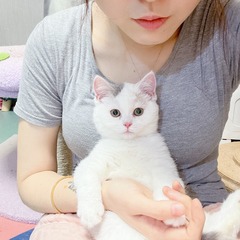 89C68EB2-444C-47A9-94AA-CA73A628F95F/L0/001