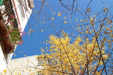 IMG_4038_看图王